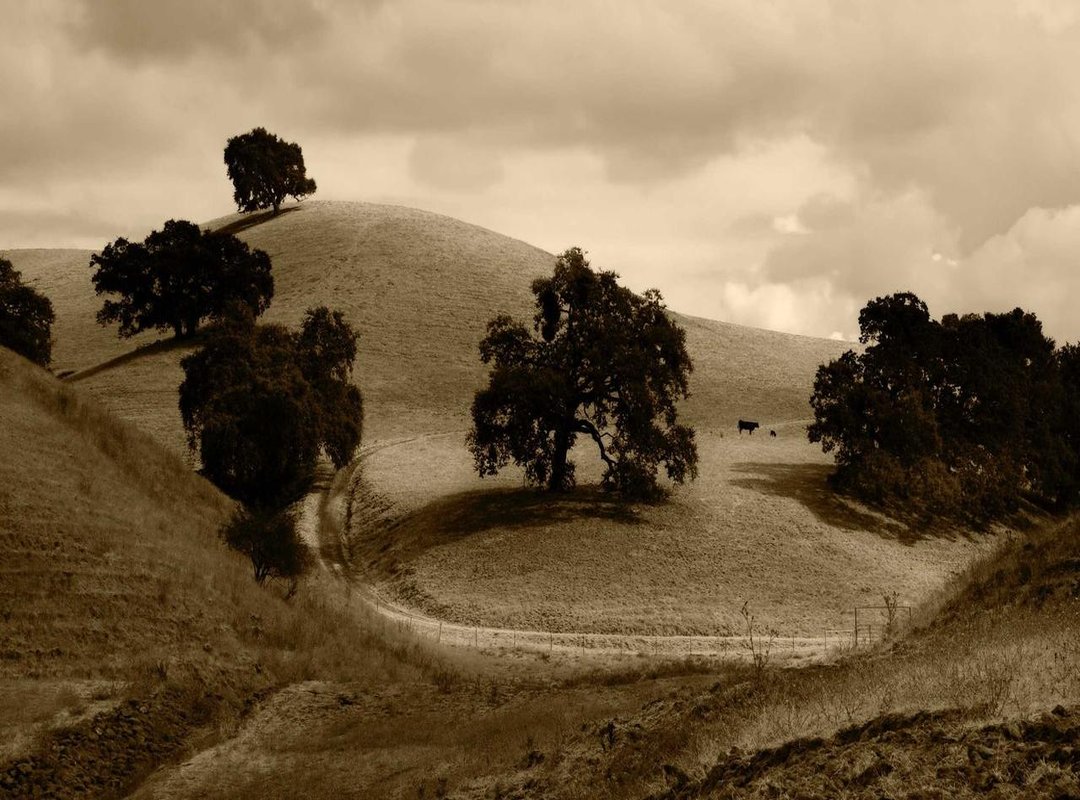 Mastering the Search: Keywords and Filters That Actually Work