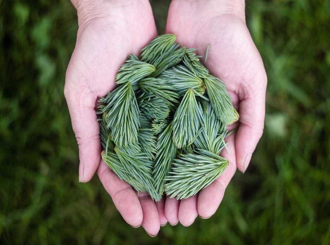 Beyond Height: A Quick Look at Their Other Stats