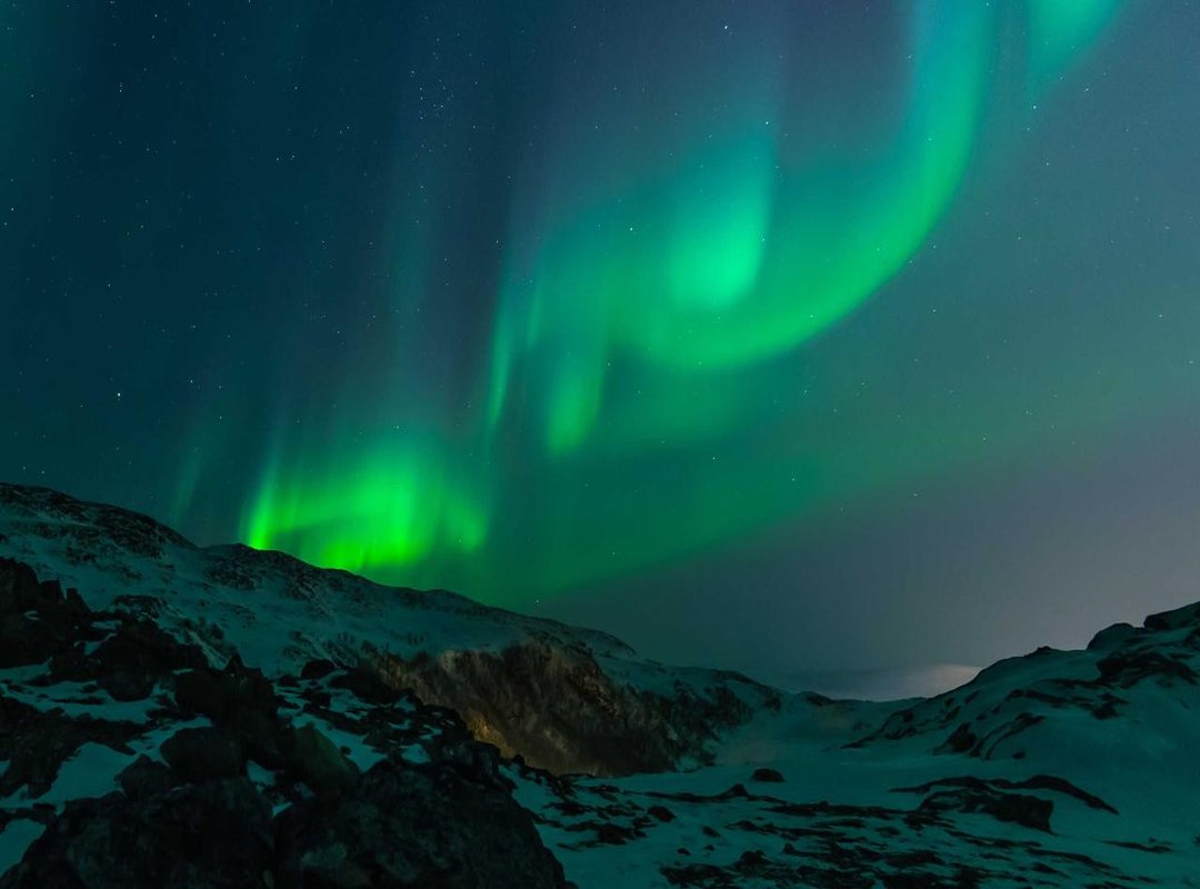 How It Stacks Up: Viejo Feo vs. Other Budget Wine Brands