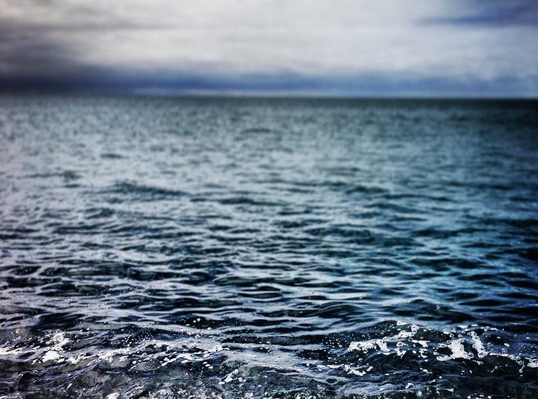 Simple & Sophisticated Celebration Ideas